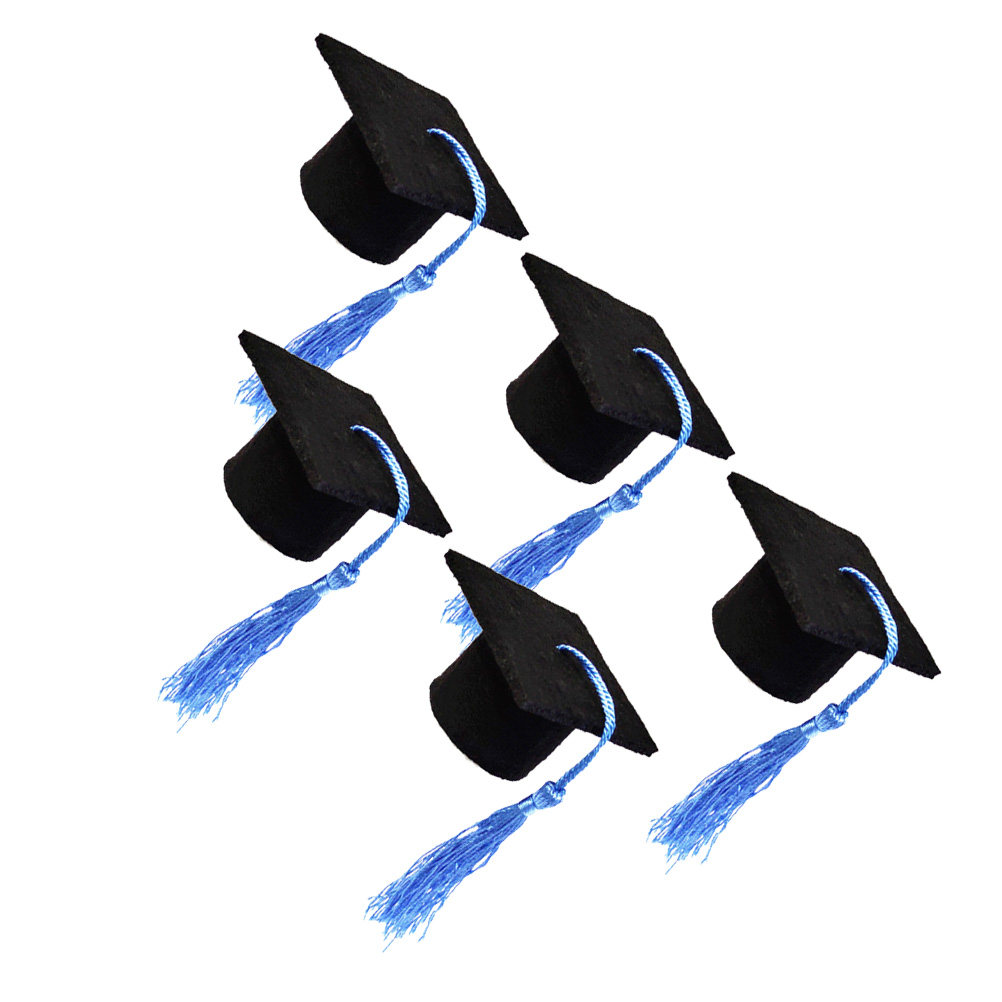 5Pcs Doctoral Cover Light Blue - Beer And Wine Festival recension och pris