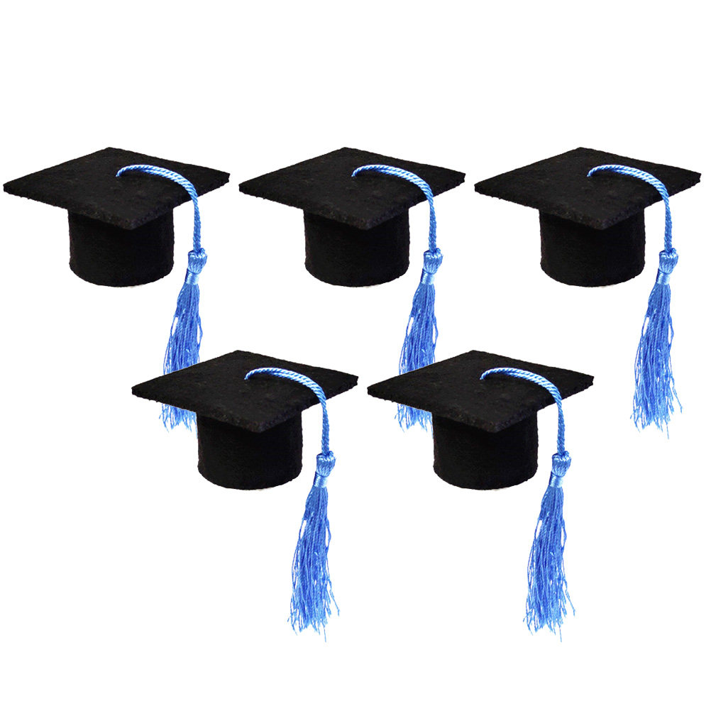 5Pcs Doctoral Cover Light Blue - Beer And Wine Festival recension och pris